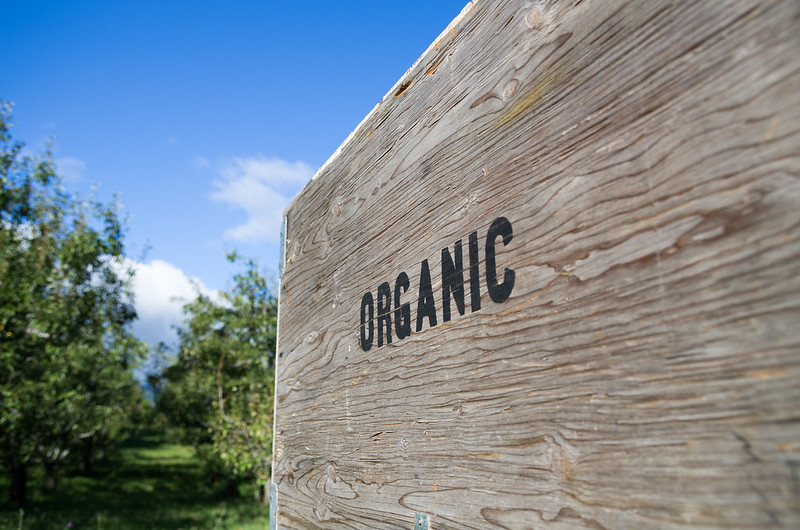 Webinar Preview Image