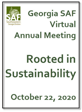 Webinar Preview Image