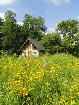 Webinar Preview Image