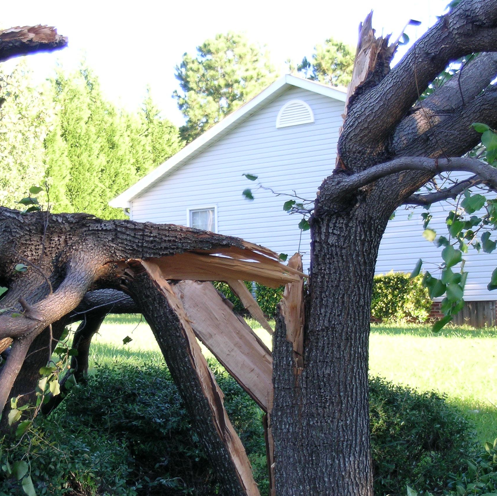 Webinar Preview Image