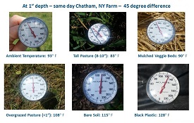 Webinar Preview Image