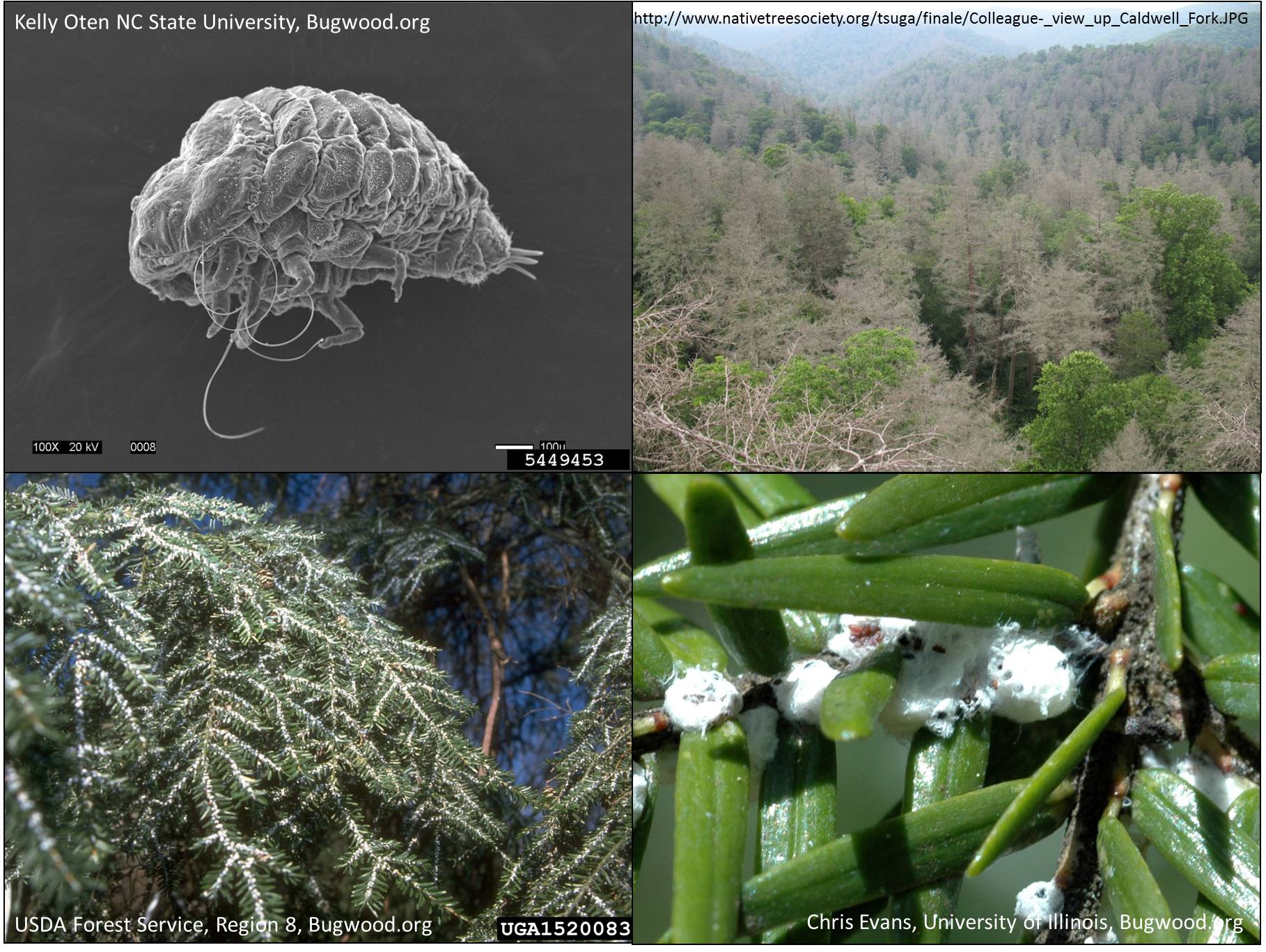 Webinar Preview Image