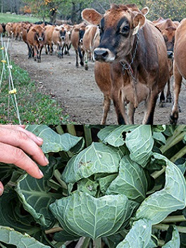 Webinar Preview Image