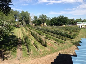 Webinar Preview Image