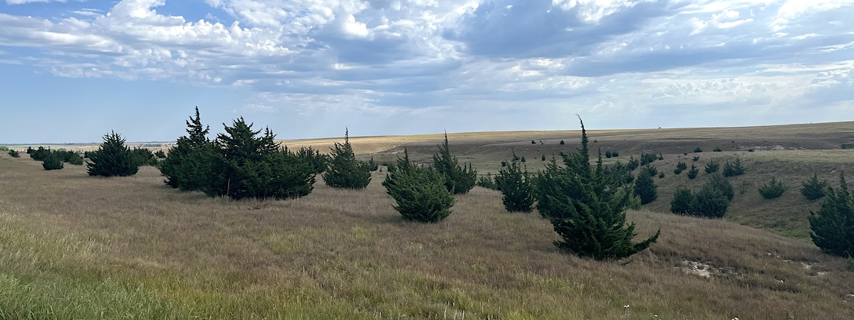 Webinar Preview Image