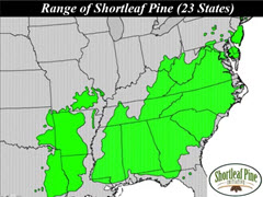 Webinar Preview Image