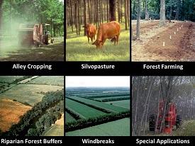 Webinar Preview Image