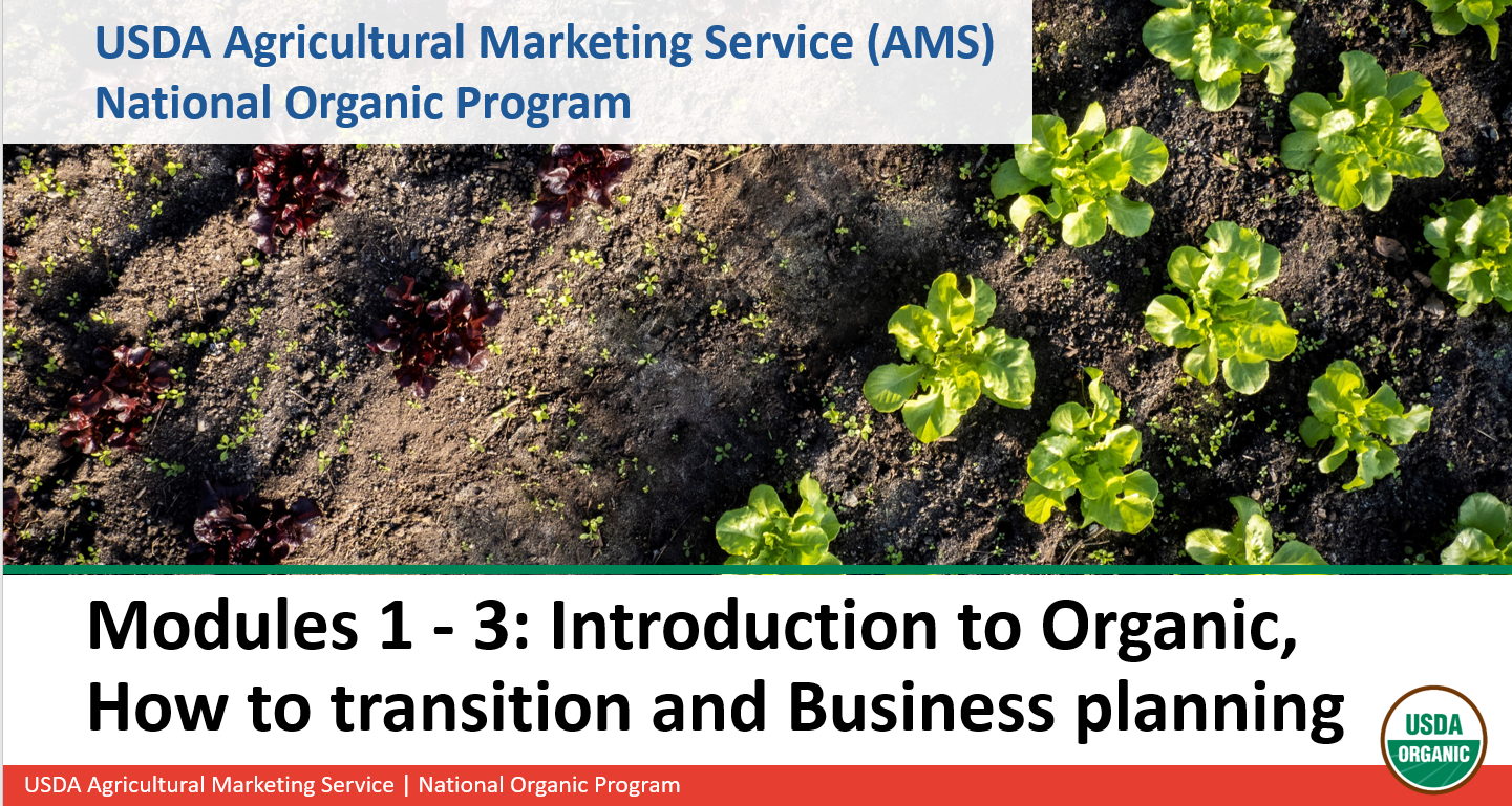 Webinar Preview Image