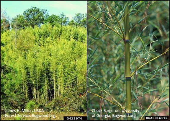 Webinar Preview Image