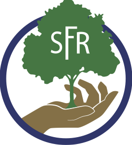 Webinar Sponsor Image