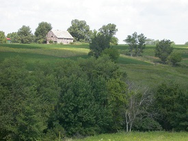 Webinar Preview Image