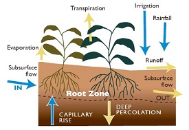 Webinar Preview Image