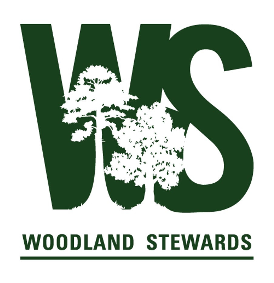 Webinar Sponsor Image