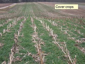 Webinar Preview Image