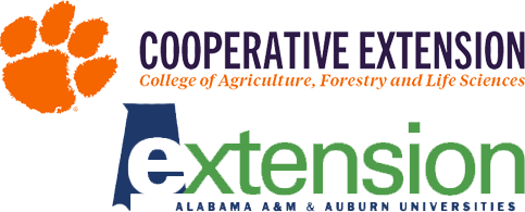 Webinar Preview Image