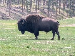 Webinar Preview Image