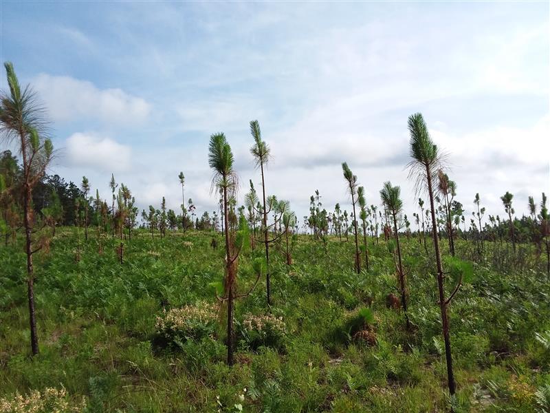 Webinar Preview Image