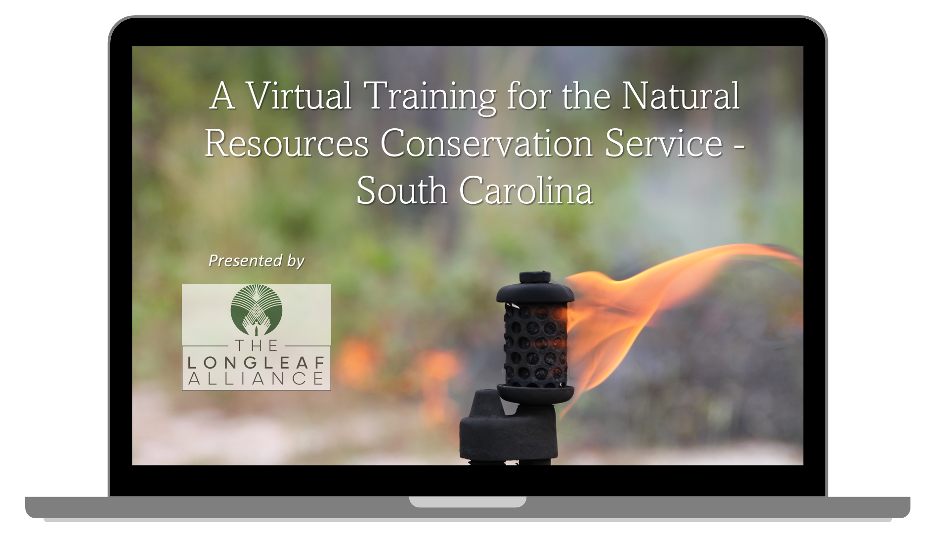 Webinar Preview Image