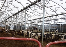 Webinar Preview Image