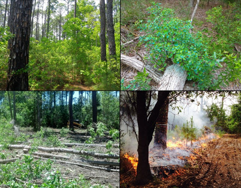 Webinar Preview Image