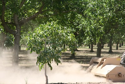 Particulate Matter Air Quality image