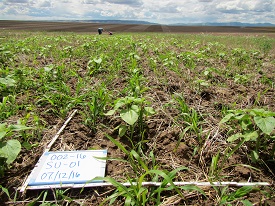 Webinar Preview Image