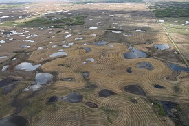 Webinar Preview Image