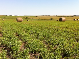 Webinar Preview Image