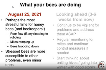 Webinar Preview Image