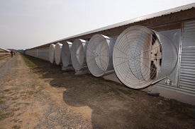 Webinar Preview Image