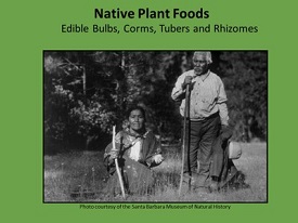 Webinar Preview Image