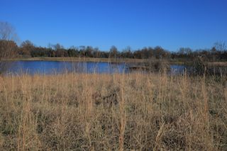 Webinar Preview Image