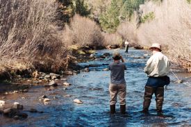 Webinar Preview Image