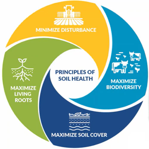 Webinar Preview Image