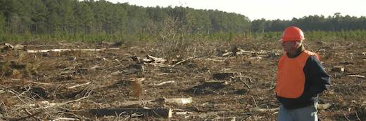 Webinar Preview Image