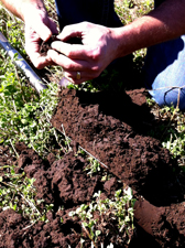 Webinar Preview Image