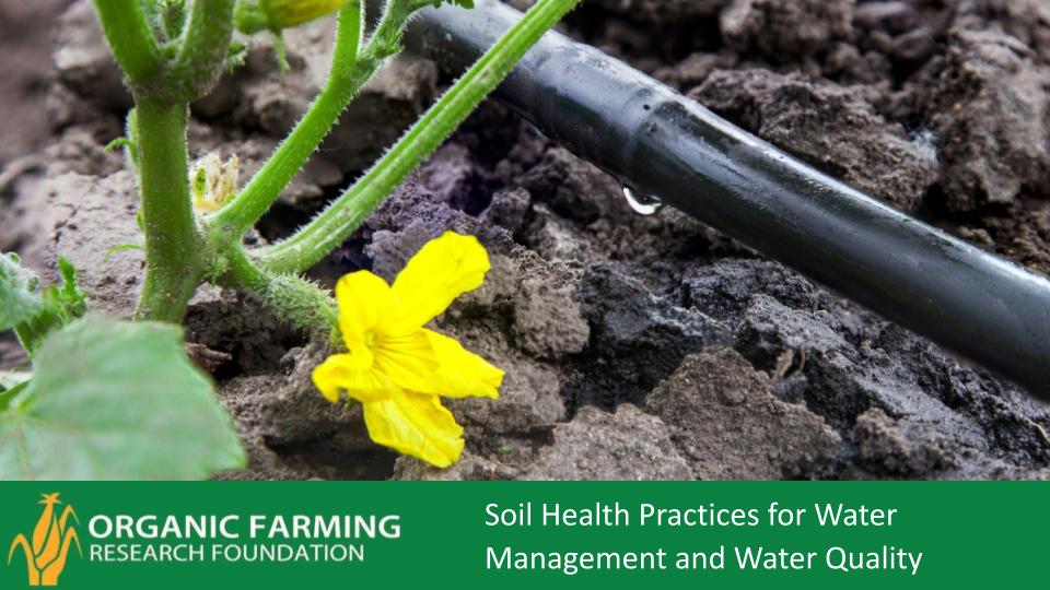 Webinar Preview Image