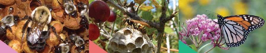 Webinar Preview Image