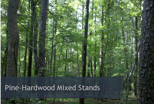 Webinar Preview Image