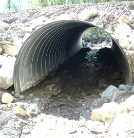 Webinar Preview Image