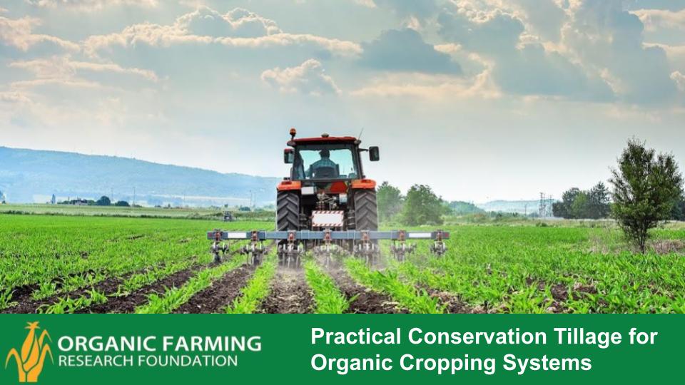 Webinar Preview Image