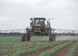 Webinar Preview Image