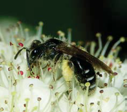 Webinar Preview Image