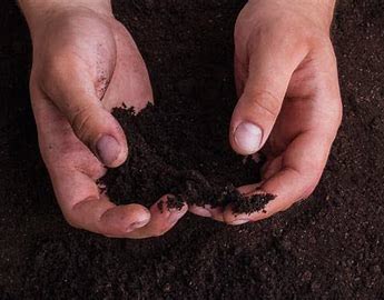 Webinar Preview Image