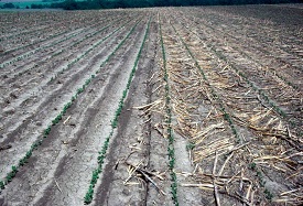 Webinar Preview Image