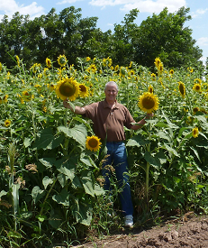 Webinar Preview Image