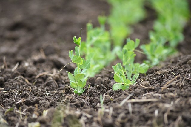 Webinar Preview Image