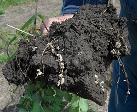 Webinar Preview Image