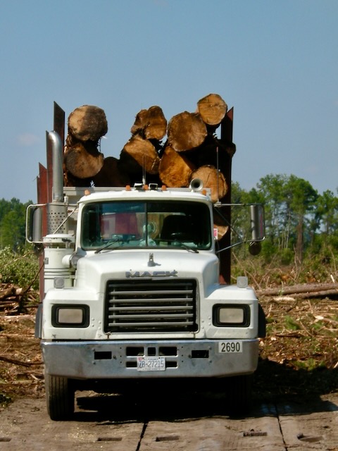 Webinar Preview Image