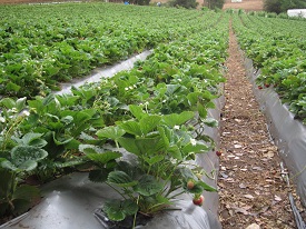 Webinar Preview Image